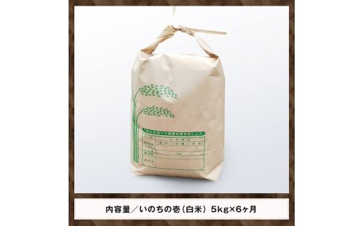【6ヶ月定期便】【令和7年産】黒木農園のお米「いのちの壱(白米)」5kg 【 米 お米 白米 国産 宮崎県産 いのちのいち おにぎり 】 [D03227t6]