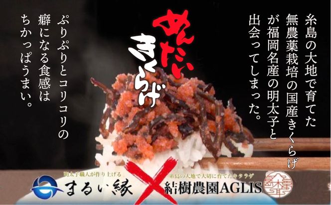 【全6回定期便】結樹農園 アグリス めんたい きくらげ 300g 《糸島》【結樹農園アグリス】きくらげ/国産/明太/明太子 [AAJ006]