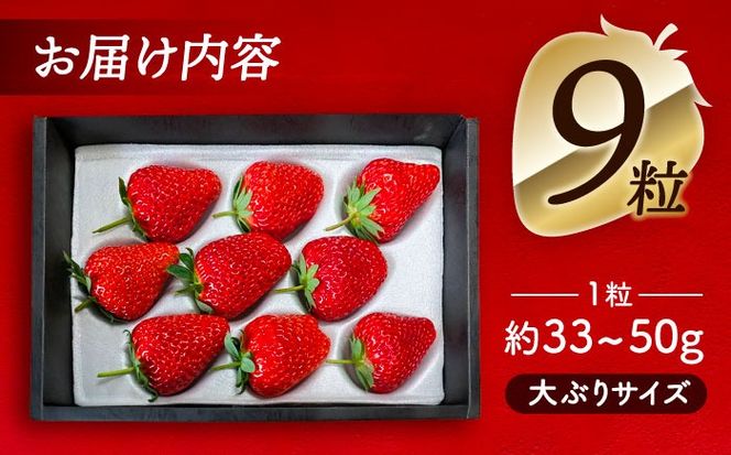 【先行予約】 ＼毎年12月より順次発送／ 紅ほっぺ 9粒 いちご 果物 フルーツ 愛西市 / くぼ苺農園 【配達不可：北海道・沖縄・離島】[AECJ008]