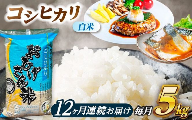 【12回定期便】コシヒカリ 白米 5kg×12か月 / 脇野コンバイン[AECP026]