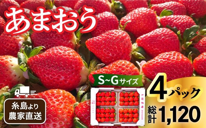 [先行予約受付中・2025年1月下旬より順次発送][農家直送!] 糸島産 あまおう 280g × 4パック (GおよびSサイズ) 糸島市 / 後藤農園 [AML003] いちご 福岡 ランキング 上位 人気 おすすめ