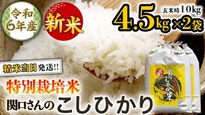 《 特別栽培米 》 令6年産 精米日出荷 関口さんの「 こしひかり 」 4.5kg × 2袋 ( 玄米時 10kg ) 新鮮 精米 コシヒカリ 米 こめ コメ 特別栽培農産物 認定米 新米 [AM092us]