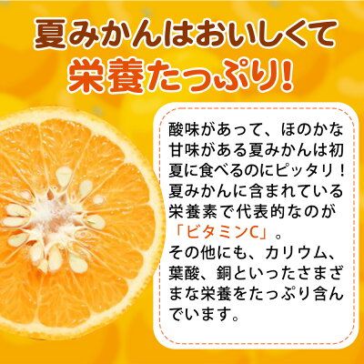 G7074_【2027年先行予約】湯浅産 夏みかん 7.2kg