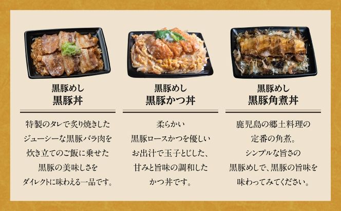 【かごしま黒豚 六白亭】黒豚バラエティピザセット【1】　K163-016