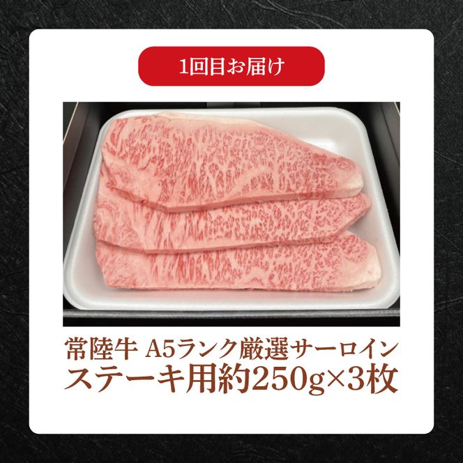 【3ヶ月定期便】 肉の藤井商店 ～至福の常陸牛グルメコース～｜ブランド牛 お肉 茨城県共通返礼品 行方市(FL-30)