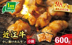 【1週間以内発送】味付けホルモン　秘伝のタレ漬け　近江牛小腸　自家製ダレ　600g（300g×2）【FO73W】