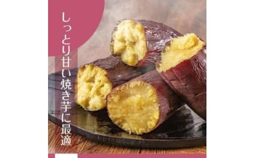 2025年度産 まるで絹のようななめらかなさつまいも シルクスイート10kg【茨城県共通返礼品/行方市】【さつまいも サツマイモ 芋 お芋 甘い なめらか 美味しい 大量 茨城県 北茨城市】(AK204)