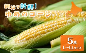 【2026年夏出荷】富良野産 とうもろこし ゆめのコーン 5本 L～LLサイズ 野菜 新鮮 直送 コーン とうきび 道産 北海道 幕田農園