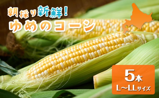 【2026年夏出荷】富良野産 とうもろこし ゆめのコーン 5本 L～LLサイズ 野菜 新鮮 直送 コーン とうきび 道産 北海道 幕田農園