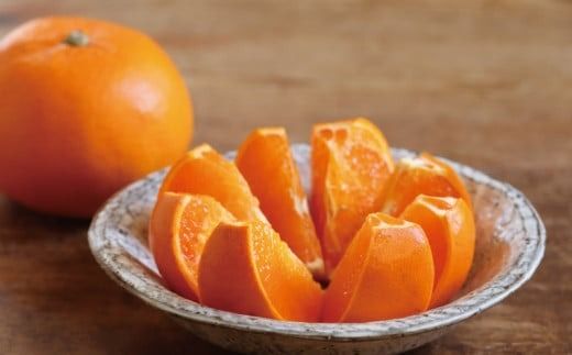 みかん せとか  (先行予約) 家庭用 M~4L サイズおまかせ 3kg 阪口農園のハウスせとか【2026年2月中旬から3月中旬までに順次発送】 / せとか ハウスせとか みかん 蜜柑 先行予約 数量限定 ミカン【msa002B】