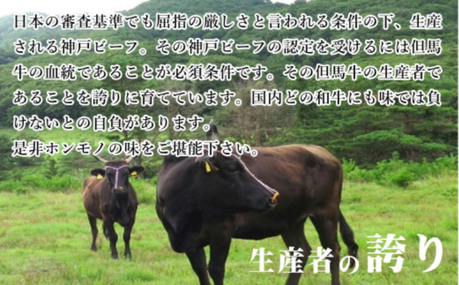 【ふるさと納税】但馬牛 ロースと赤身 店長おすすめ部位 食べくらべ 500g 肉 お肉 牛肉 ロース 牛ロース ロース肉 薄切り うす切り 赤身 各250g 食べ比べ 詰め合わせ セット 焼肉 焼き肉 BBQ バーベキュー 冷凍【配送不可地域：離島】【1242705】 兵庫県 新温泉町 送料無料