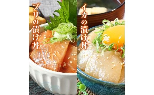 高知 海鮮漬け丼の素（7種×各2P）セット 鯛 鮪 鰤 カンパチ サバ 鰹たたき イカ いか 天然 漬け 丼 素 海鮮 醤油漬け  海鮮丼  冷凍 【企業組合　宇佐もん工房】 [BQAB023]