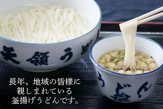 うどん 生麺 天領うどん つゆ ねぎ 揚げ玉 付き 10人前 セット [天領うどん本店 宮崎県 日向市 452061556] ウドン 釜揚げ 釜揚げうどん