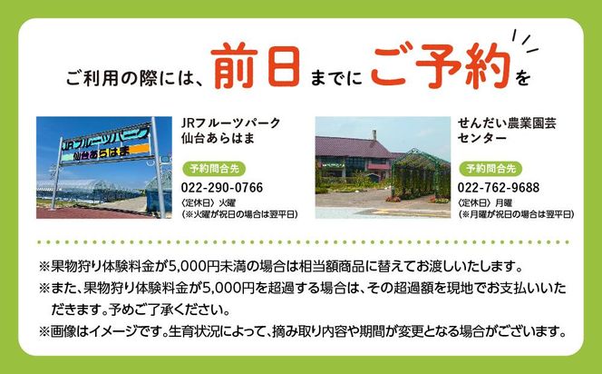 旬の果物摘み取り体験チケット　1回5,000円分　【チケット 券 】 041009_EK001