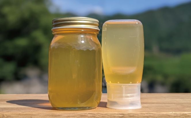 合計900g 天然蜂蜜 国産蜂蜜 非加熱 生はちみつ 岐阜県 美濃市産 初夏 (蜂蜜600g入りガラス瓶1本、蜂蜜300g入りピタッとボトル1本のセット)B15 深田養蜂のハチミツ