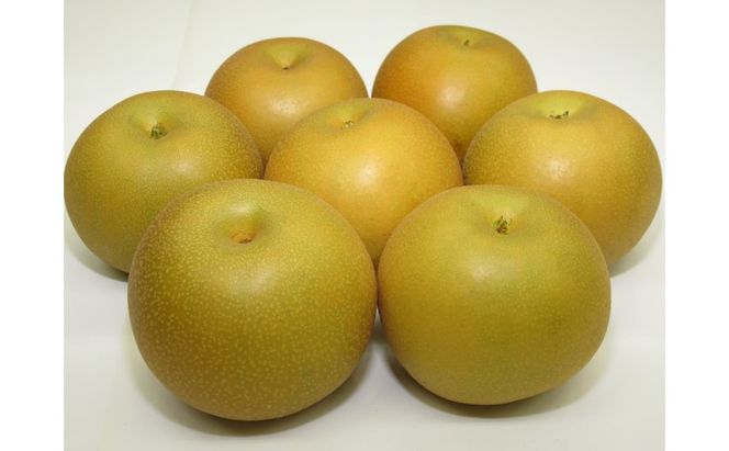 梨 朝倉産 あきづき梨 4.8kg（10～16玉入） ナシ フルーツ 果物 くだもの 筑前あさくら農協 ※配送不可：北海道、沖縄、離島