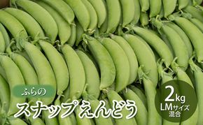 【2026年夏発送】ふらの スナップえんどう 2kg LMサイズ混合 バラ 北海道 富良野市 野菜 新鮮 直送 スナップえんどう 道産 ふらの 送料無料 数量限定 先着順