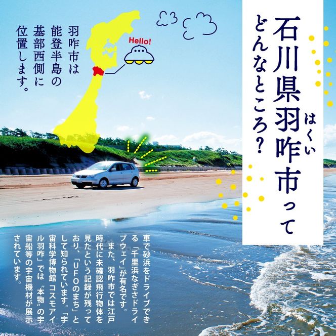 【 先行予約 】【 数量限定 】 定期便 令和7年産 新米 のと米 精米 5kg × 3回 計 15kg 能登 こしひかり 米 減農 新米 こだわり 石川県産 羽咋市産 能登米 エコ 栽培 環境 白米 こめ コメ お米 2025年産 おこめ ご飯 ごはん 送料無料 コシヒカリ 数量 限定 ギフト 国産 白飯 新米 予約 産地直送 R7 美味しい おいしい ふるさと納税 能登 石川 羽咋 はくい