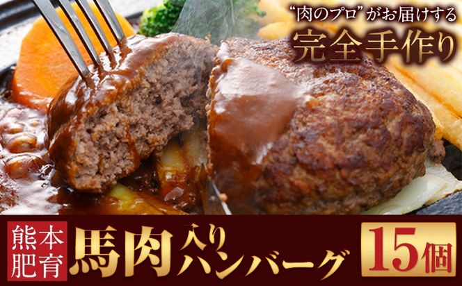 ハンバーグ 馬肉入り 手作りハンバーグ 15個 (1個：約150g)  定期便 馬肉ハンバーグ 肉 馬肉 手作り 肉の宮本《45日以内に出荷予定(土日祝除く)》惣菜 おかず 肉 牛 豚---sn_fmybhtei_r8_45500_15i_mo3---
