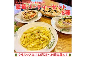 【クリスマスオードブル】オーガニック野菜と香住ガニの豪華パーティーセット（数量限定）　BR00035