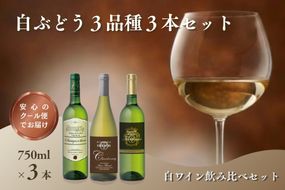 【B-216】W202 白ぶどう3品種 3本セット