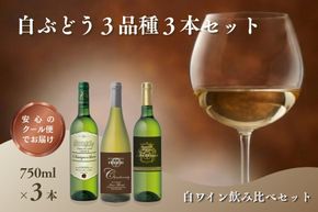 【B-216】W202 白ぶどう3品種 3本セット