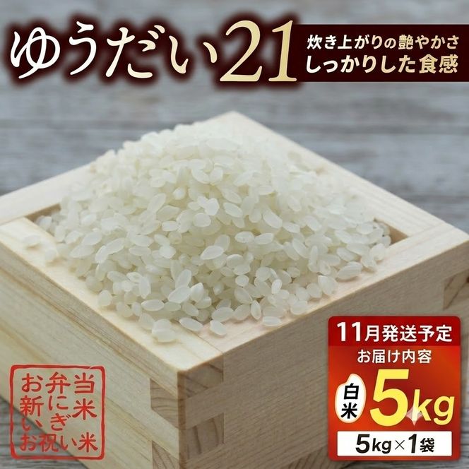 ★新米 令和8年★ 米 5kg 白米 「ゆうだい21」 ＼先行予約／ 山﨑観光農園 栃木県 益子町 ふるさと納税 お米 ゆうだい21 白米 精米 5キロ 令和8年産 先行予約 (AU058-11)