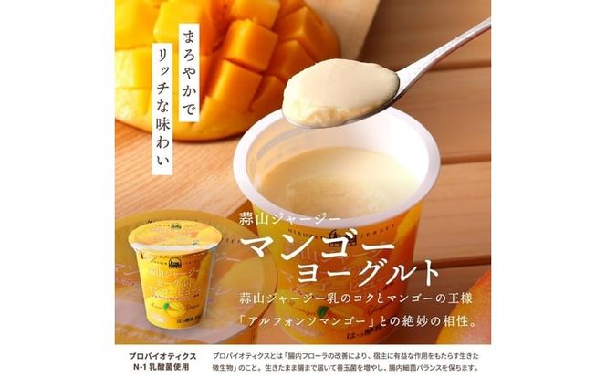 【6カ月定期便】 蒜山ジャージーデザートヨーグルト12個セット（4種類×３個） 詰め合わせ 乳製品 贅沢ヨーグルト スイーツ 白桃 マンゴー ブルーベリー 食べ比べ プレゼント 蒜山酪農 真庭 岡山 ジャージー 牛乳 【hiru-tkb015】