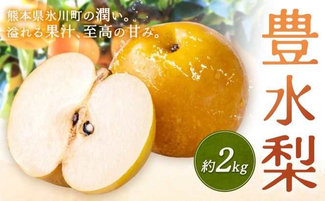 先行予約 旬 梨 フルーツ 豊水梨 約2kg 豊水 株式会社エフビーネット《8月中旬-9月上旬頃出荷》熊本県 氷川町 熊本県 氷川町産 なし ナシ 旬の梨 果物 くだもの スイーツ---hkw_efn_4_2kg---