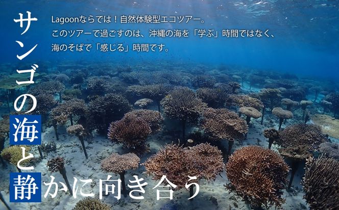 沖縄ダイビングサービス Lagoon商品券「3,000円分」