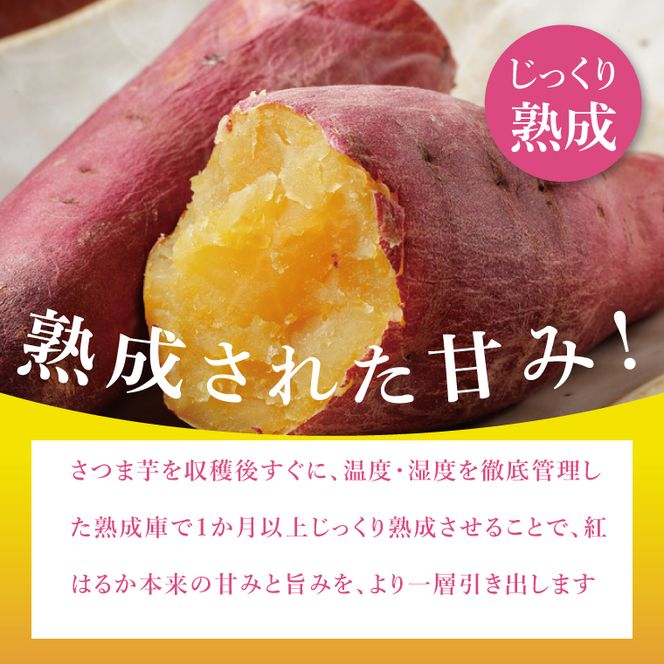 「りん太郎本舗」熟成芋の干し芋 平干し・丸干しセット（150g×各1袋）｜干し芋 ほしいも さつまいも 熟成 べにはるか 紅はるか お菓子　おやつ　スイーツ 茨城県 取手市（BV003）