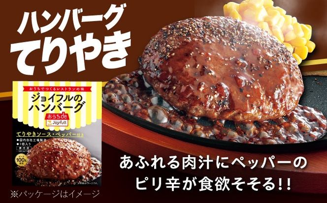 【全6回定期便】ジョイフル ハンバーグ スペシャル 詰め合わせ 2種 30個 セット《築上町》【株式会社　ジョイフル】[ABAA079]