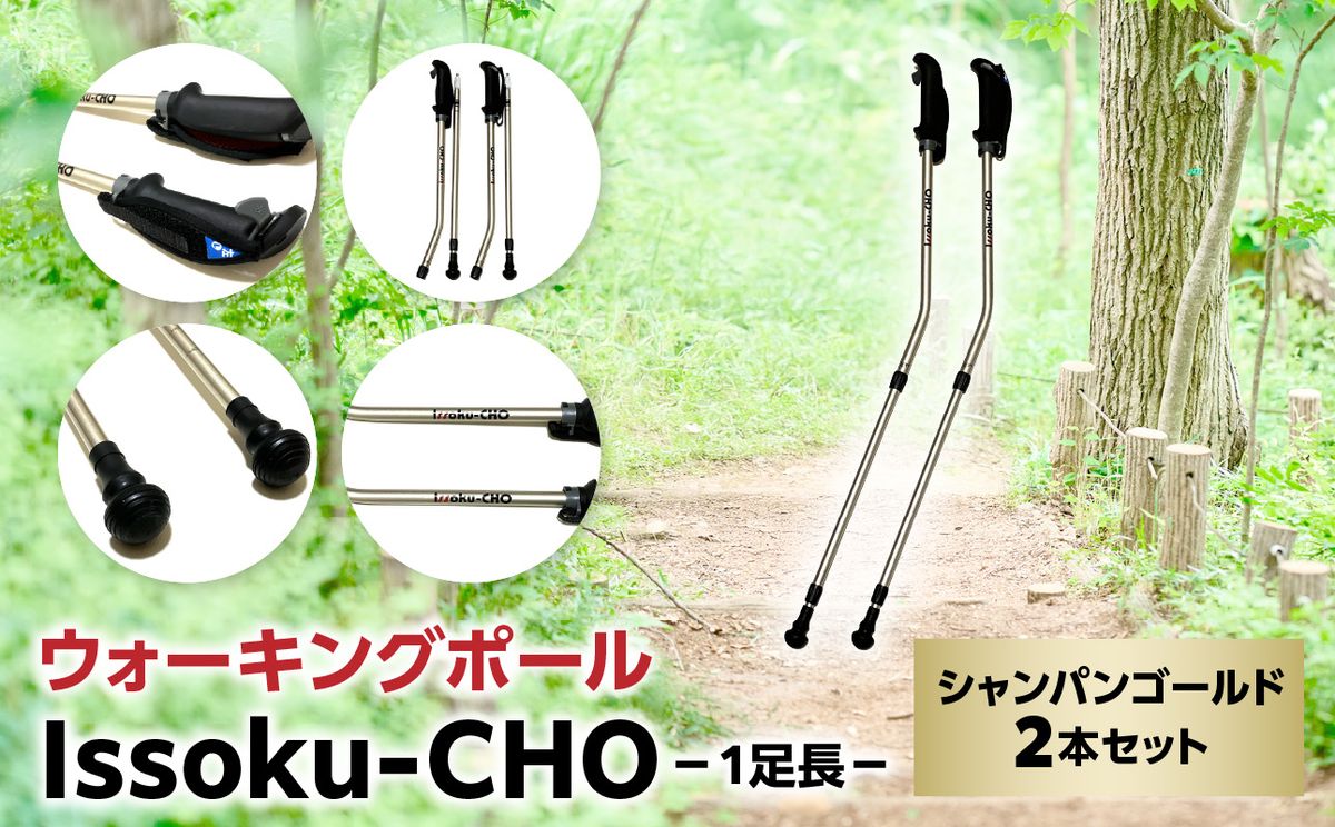 ウォーキング Issoku-CHO(1足長) シャンパンゴールド 2本セット