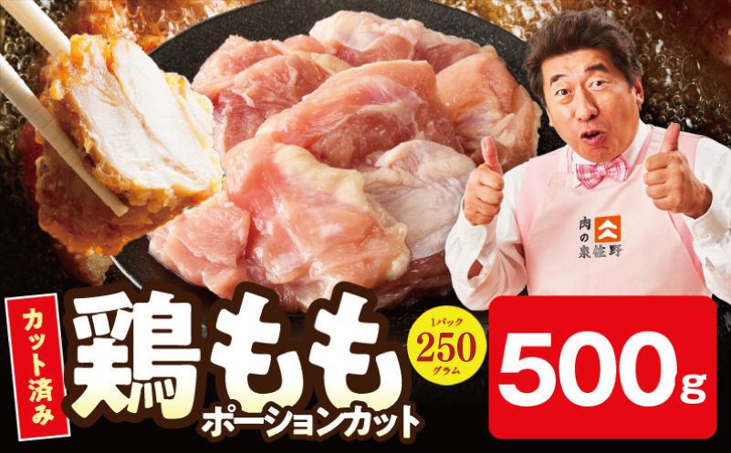 mrz0395 [お試し規格]国産 鶏もも肉 ポーションカット 500g [スピード発送 カット済み 氷温熟成×極味付け 小分け 味付き 簡単調理 訳あり サイズ不揃い 鶏肉 とり]