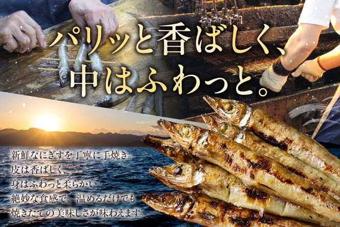 【にぎす 焼にぎす36尾 冷蔵】香住で水揚げされたにぎすを素焼きしました。昔なつかしい 素朴な風味 手焼き丁寧に焼いています キス きす 新鮮 香住産 国産 兵庫県 香美町 香住 10000 10000円 一万円 以下 浜貞商店 29-01