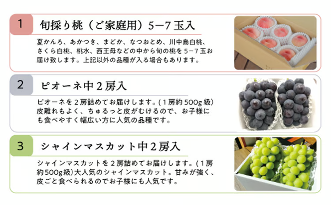 【2026年先行予約】桃、ピオーネ、シャインマスカットが少しずつ届く夏の満足便！３回便(定期便) (岡山県産)【KF-T022-02】