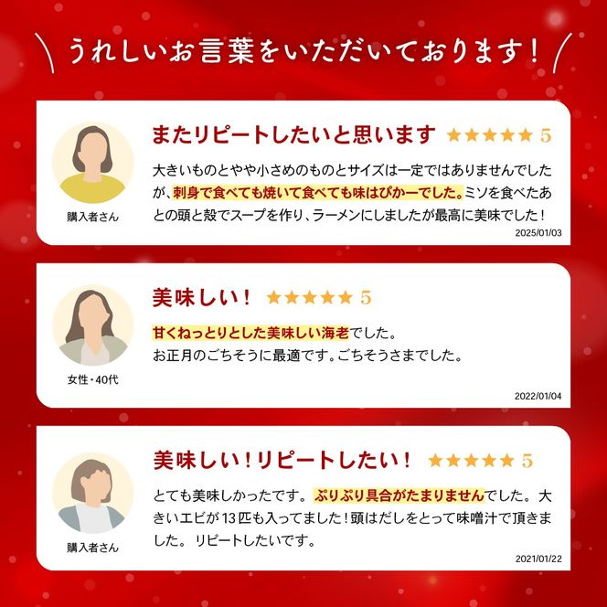 【漁師採りたて　留萌産】ボタンエビ　500ｇ×2　R006-019