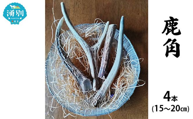 北海道 エゾ鹿角 4本 （15～20cm） 【 インテリア 飾り エゾシカ エゾ鹿 ハンドメイド素材 おもちゃ スタッグ お守り 】