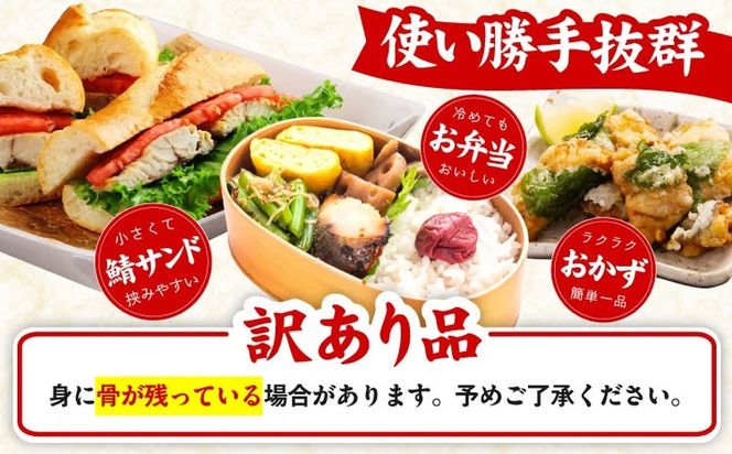 099Z576 【定期便】塩さば 1kg（250g×4P）全3回【お弁当サイズ 生活応援 サバ 小分け 青魚 塩鯖 塩サバ 切身 塩焼き 焼きさば 焼き鯖 人気 冷凍 冷凍食品 おかず 惣菜 訳あり サイズ不揃い】