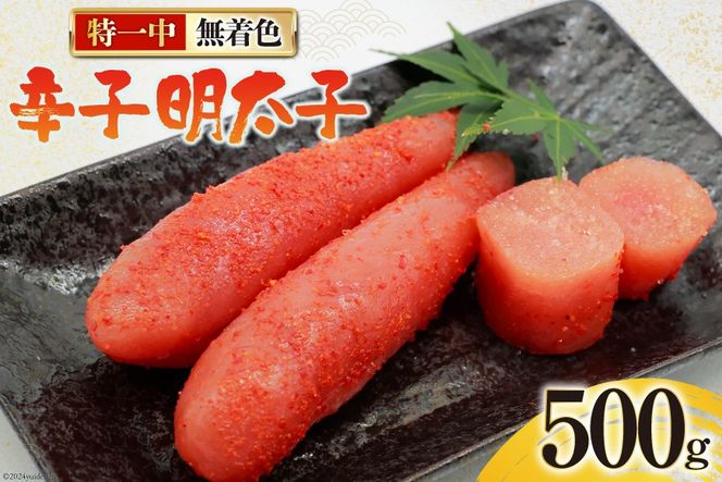 yÉgczhqq F ꒆ 500g [͂˂Hi É gc 22424276] q ߂񂽂  ^R 炱 ߂񂽂 Ⓚ