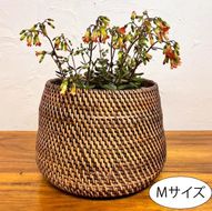 ラタンコロンバスケット（Mサイズ）BV-66