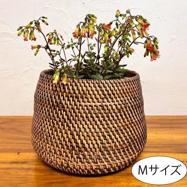 ラタンコロンバスケット（Mサイズ）BV-66