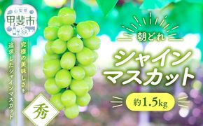 【来年（2026年/令和8年）発送＜先行予約＞】シャインマスカット　約1.5㎏　先行予約 先行 予約 山梨県産 産地直送 フルーツ 果物 くだもの ぶどう ブドウ 葡萄 シャイン シャインマスカット 新鮮 人気 おすすめ 国産 山梨 甲斐市 贈答 ギフト お取り寄せ 朝どれ　AV-35