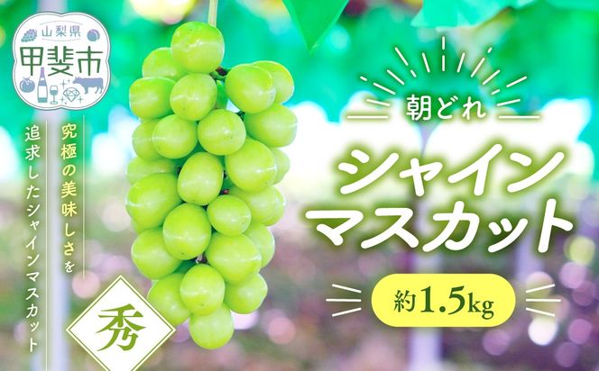 yRbszyNi2026N/ߘa8Njs\񁄁zVC}XJbg@1.5s@s\ s \ RY Yn t[c ʕ  Ԃǂ uhE  VC VC}XJbg VN lC  Y R bs  Mtg  