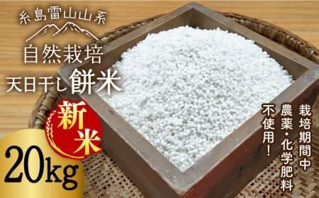 【新米受付中】＼令和6年産／糸島産 餅米 20kg 自然栽培 天日干し 【2024年11月下旬以降順次発送】 糸島市 / 大石ファーム [ATE007]