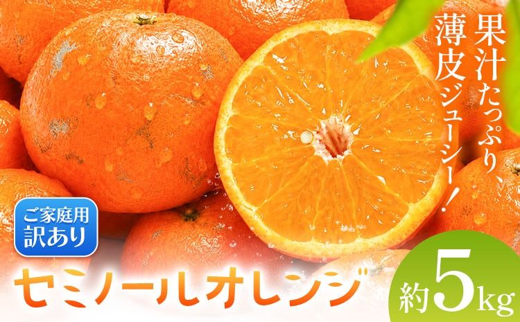 オレンジ 訳あり ご家庭用 セミノールオレンジ 約5kg 株式会社魚鶴商店[2027年5月上旬-5月中旬頃出荷予定] 和歌山県 日高町 柑橘 フルーツ---wsh_uot248_5j5c_26_12000_5kg---