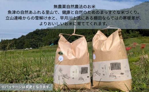 令和7年産 天日干し自然栽培米コシヒカリ「富の環」 玄米 5kg【北アルプス剣岳源流早月川最上流 の 棚田米】｜お米 こしひかり こめ コメ おこめ 高品質 富山 魚津※北海道・沖縄・離島への配送不可 ※2025年10月下旬～2026年3月下旬頃に順次発送予定