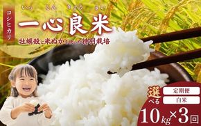 ＜全3回定期便＞ 真庭市産コシヒカリ 米ぬか 牡蠣栽培米『一心良米』 白米10kg (5kg×2袋）×3回 令和7年産 / お米 いっしんりょうまい 岡山県 こしひかり 人気 ブランド 2025年産 【tkns-tkb033-cho】