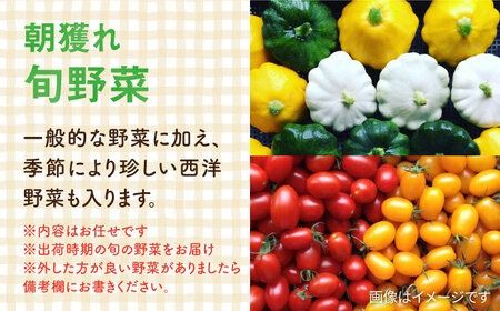 【全6回定期便】糸島の朝産み黄金タマゴ10個 朝どれ新鮮野菜5品 セット【福岡県糸島産】 糸島市 / オーガニックナガミツファーム 玉子 やさい [AGE048]