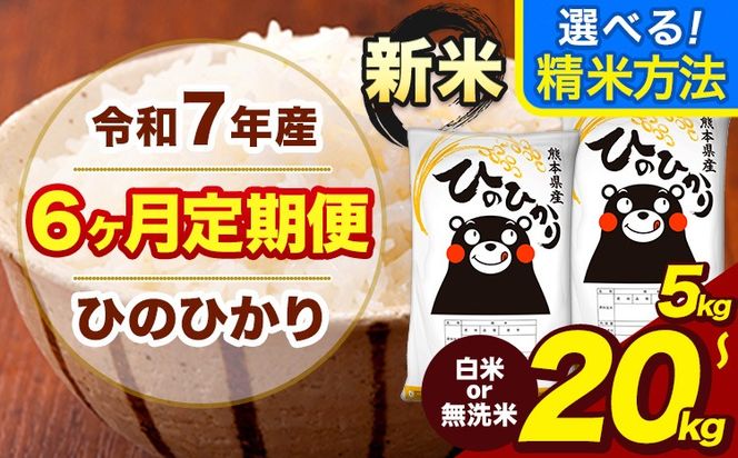 令和7年産 新米 【6ヶ月定期便】  無洗米 も選べる 白米 米 ひのひかり 5kg 10kg 15kg 20kg 《お申込み翌月から出荷》熊本県 大津町 国産 熊本県産 白米 精米 無洗米 送料無料 ヒノヒカリ こめ お米---hn7tei_75000_5kg_mo6_oz_h---